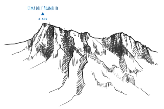 Disegno del profilo del monte Adamello