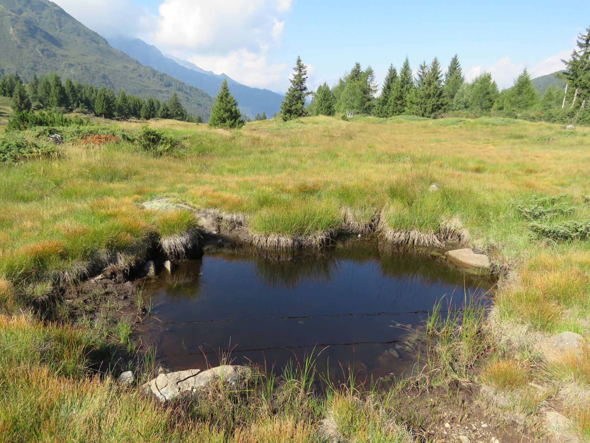 Buca torbiere del Tonale